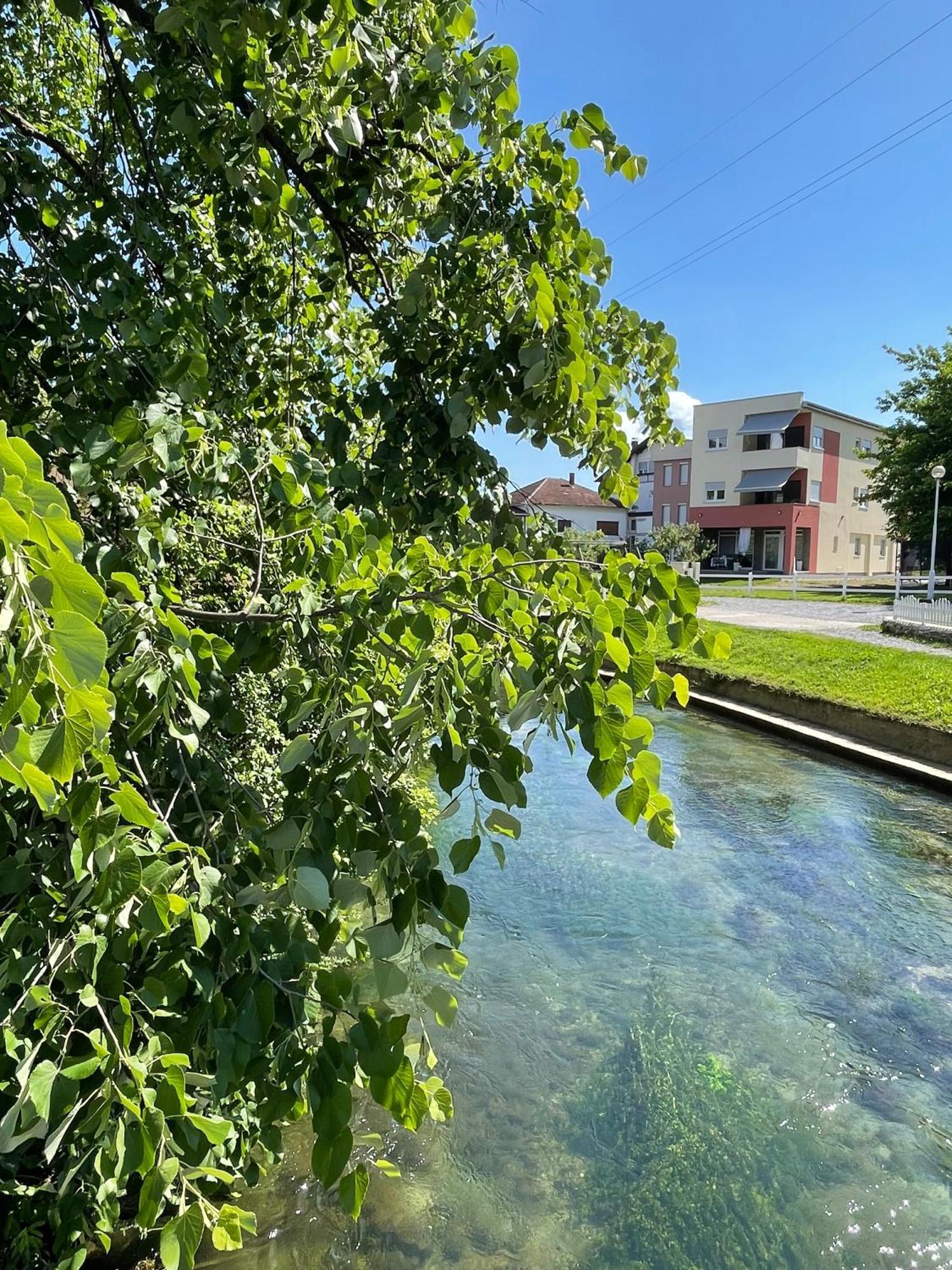 Apartment Vila Tara Бихач Экстерьер фото